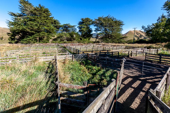 Matawai Saleyards