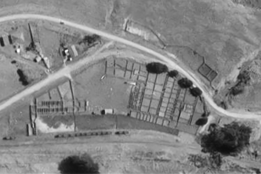 Matawai Saleyards 1953