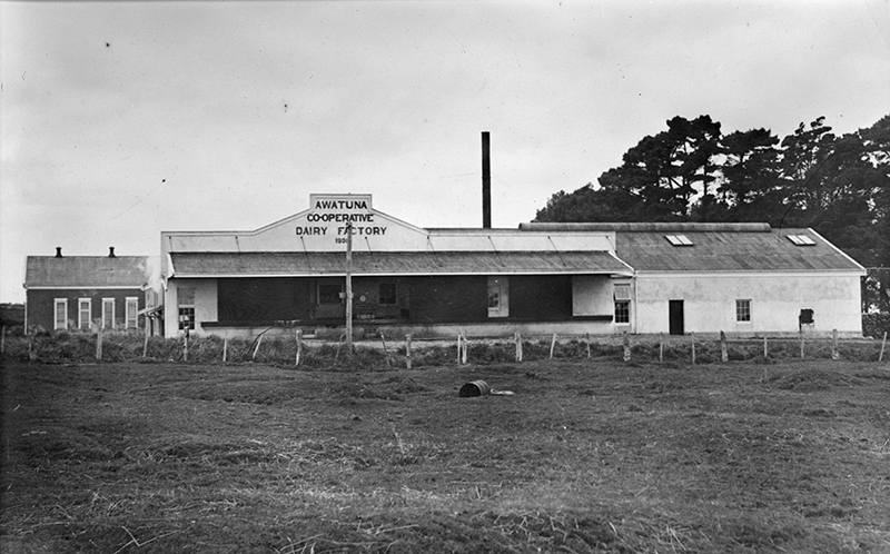 Awatuna Dairy Factory