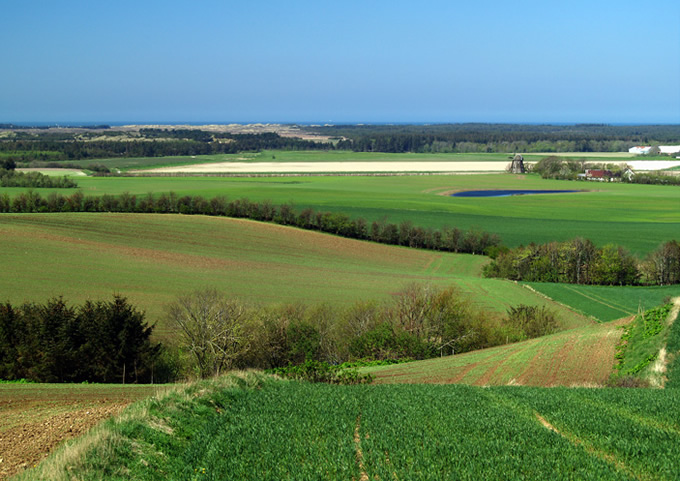 Jannerup Landscape