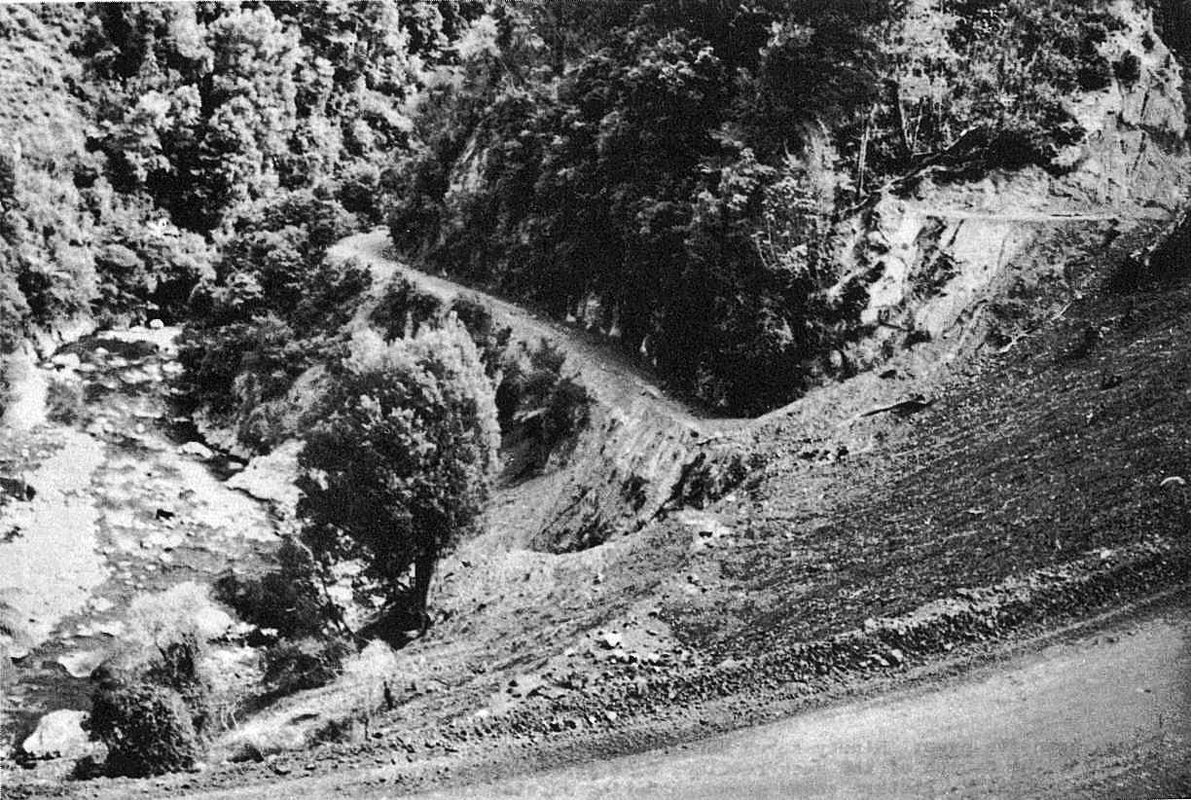 Old Waioeka Gorge Road 1959