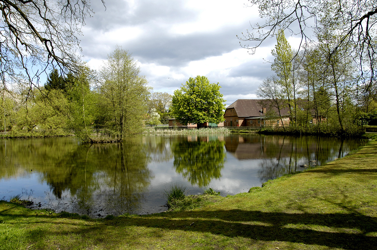 Sprakensehl pond