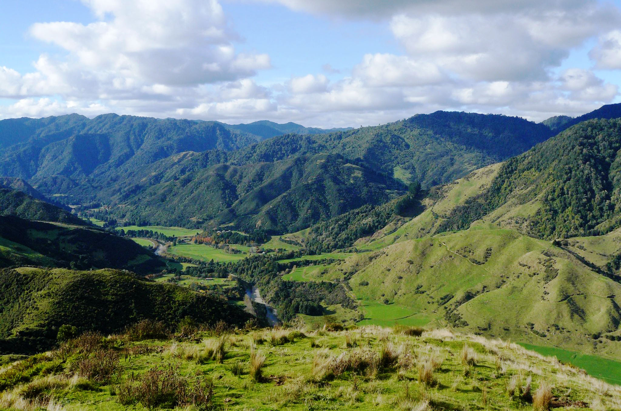 Waioeka Valley from Wairata Station